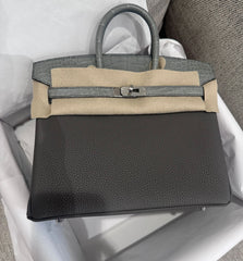 Hermes - birkin 25 Gris Meyer Togo and Gris Ciment Matte Alligator Touch