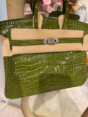 Hermes- Birkin 25 Pelouse Shiny Alligator Phw N