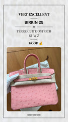 Hermes - Birkin 25 Terre Cuite Ostrich Ghw Z 

available
