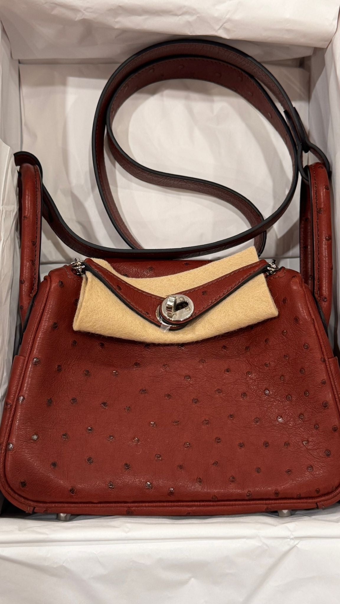 Hermes - ostrich mini lindy Rouge h- phw