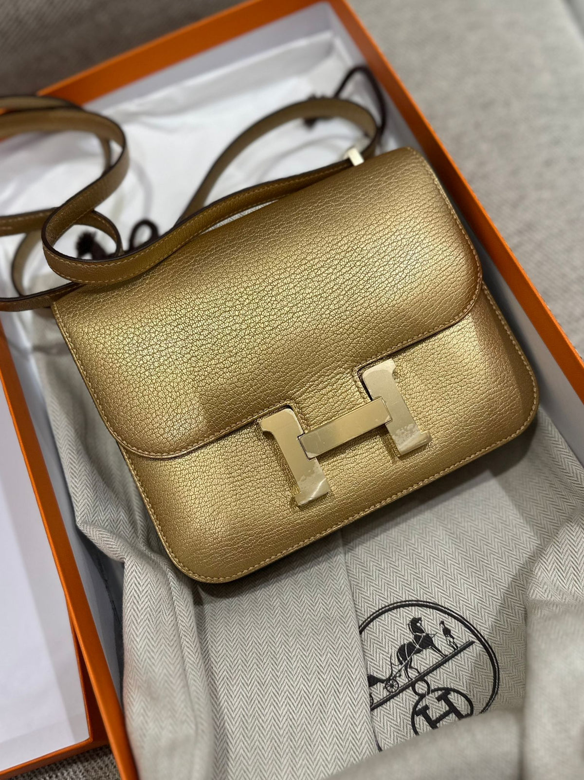Hermes - costanse metallic