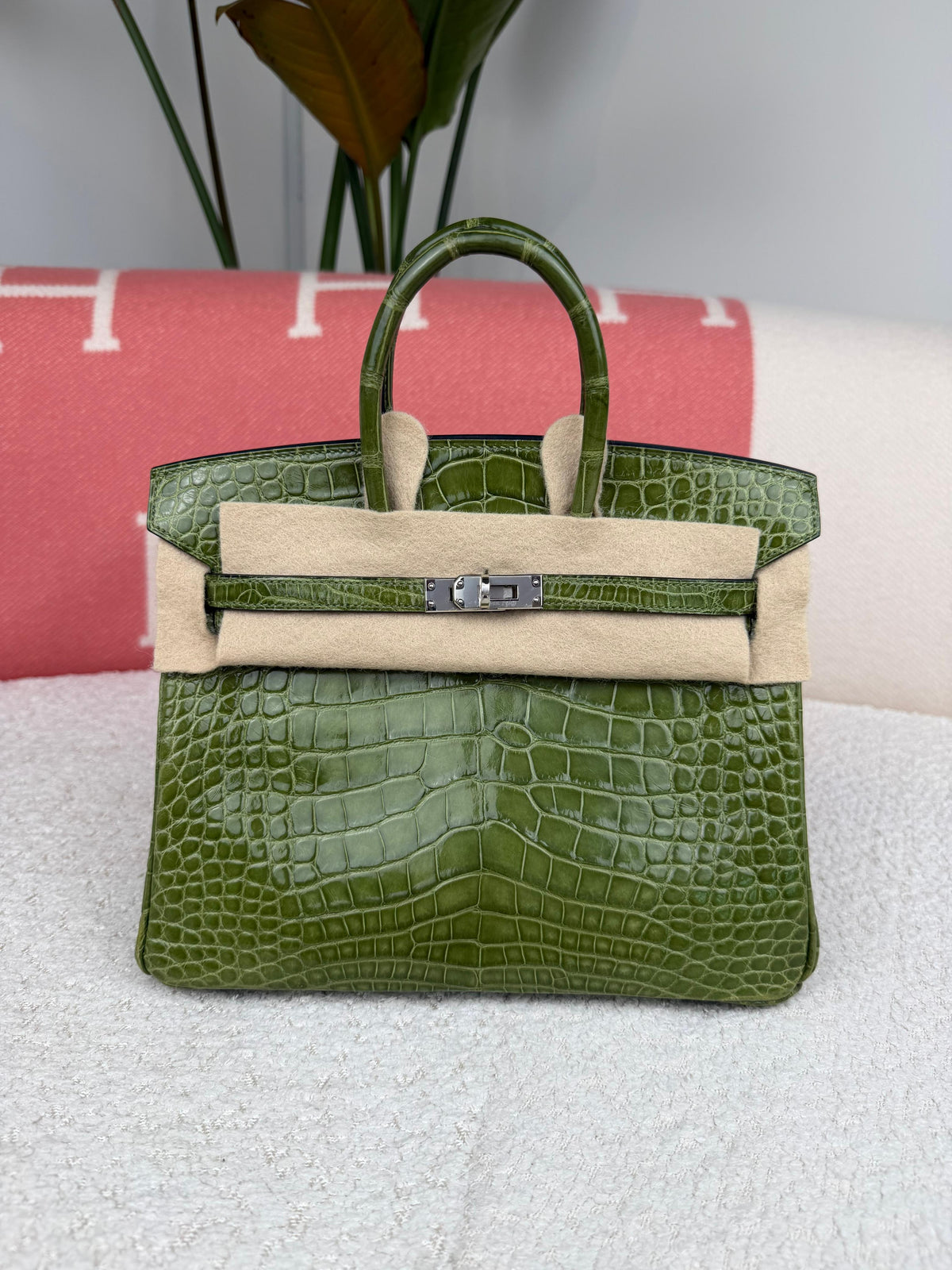 Hermes- Birkin 25  Pelouse Shiny Alligator Phw N