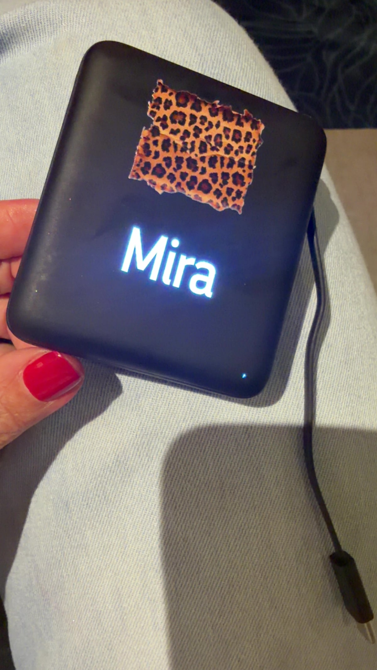 Mash x pebo - tigermood customized power bank