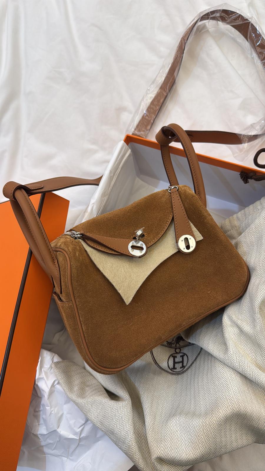 Hermes - Gold Grizzly and Swift Mini Lindy 20 Palladium Hardware, 2025