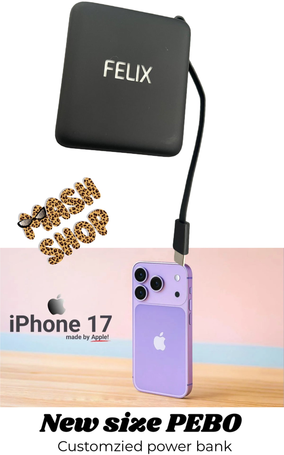 Mash X PEBO - customized charger power bank - 2 models old & new