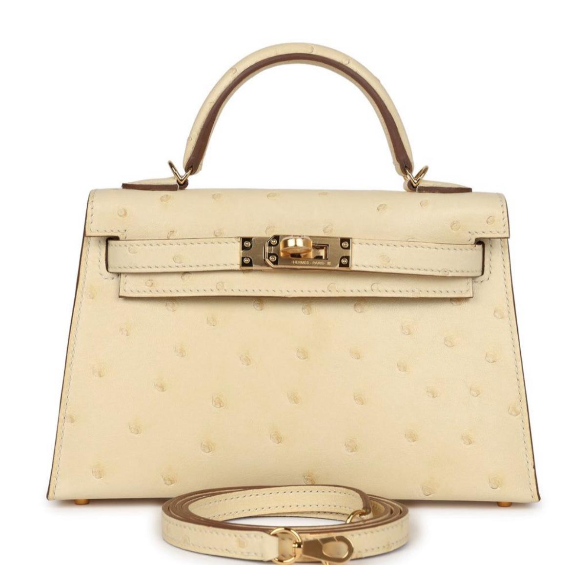Hermes - ostrich mini kelly 20 - Beton - gold HW